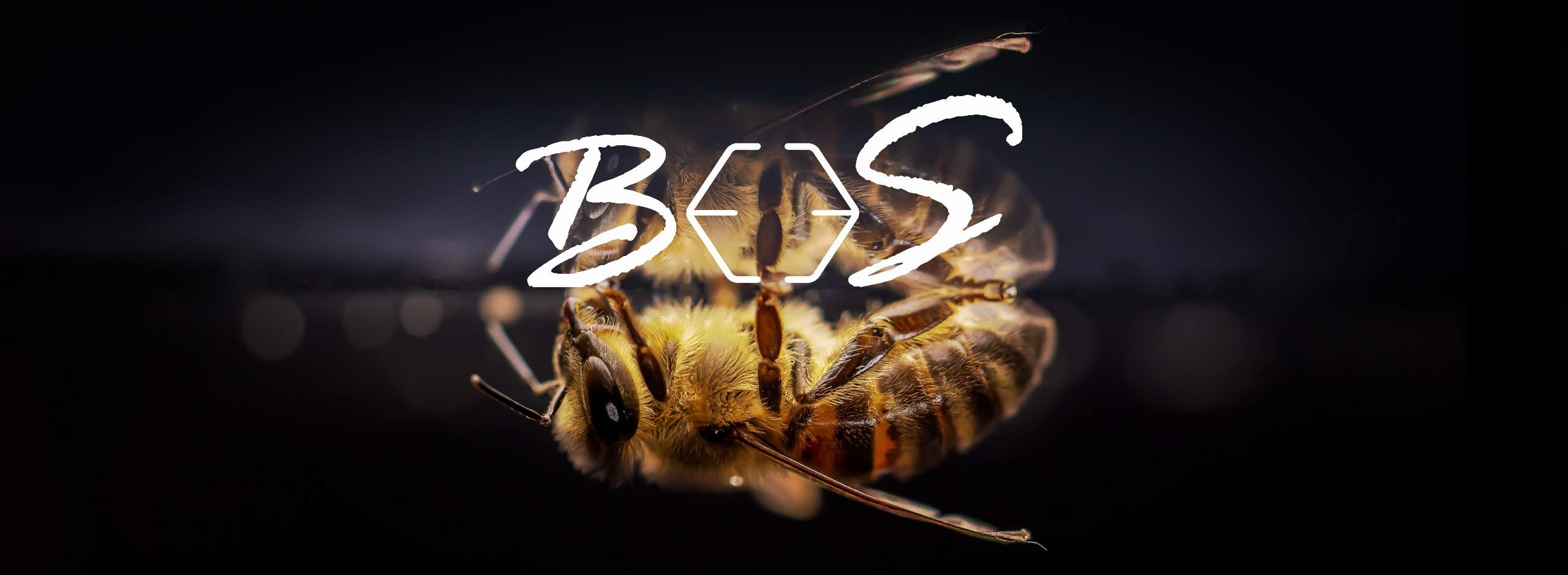 BeeS Copertina